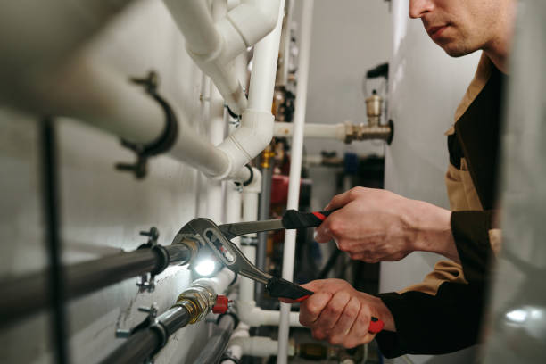 Best Plumbing Services Near Me  in Ruhenstroth, NV